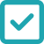 Check icon