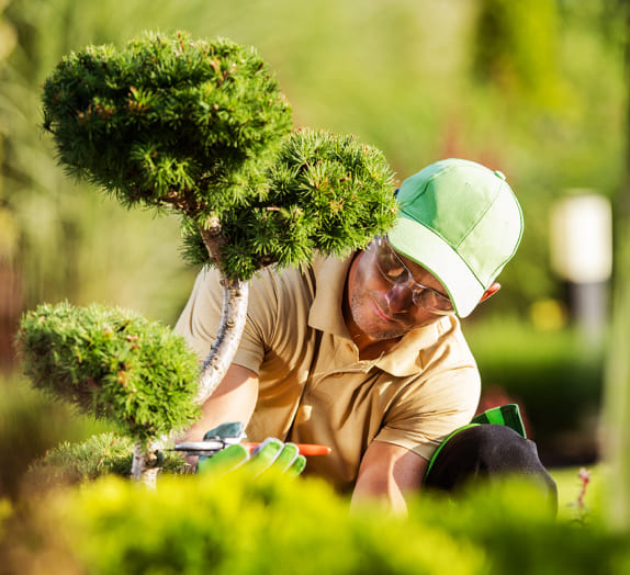 A person working in a landscaping